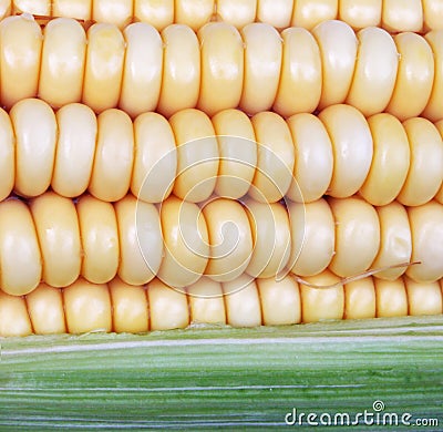 Corn on cob Stock Photo