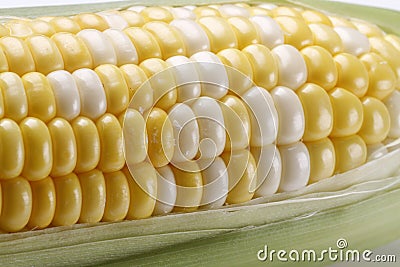 Corn cob Stock Photo