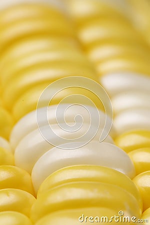 Corn cob Stock Photo