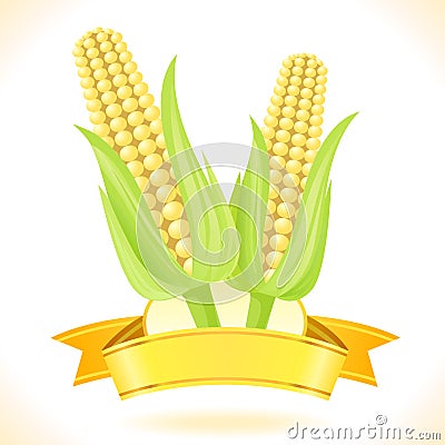 Corn On The Cob Vector Illustration
