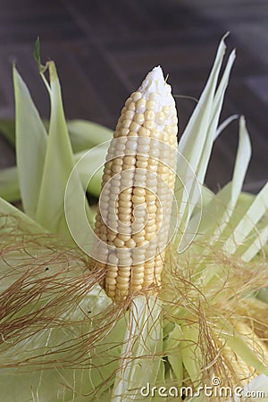 Corn on the cob Stock Photo