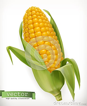 Corn cob. Vector icon Vector Illustration