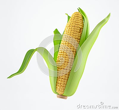 Corn Stock Photo