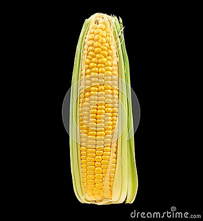 Corn cob isolated on black background. Fresh raw organic sweetcorn closeup. Hot corn on the cob Stock Photo