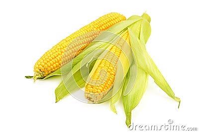 Corn on the cob Stock Photo