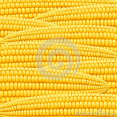 Corn cob. Organic food pattern. Vector Illustration