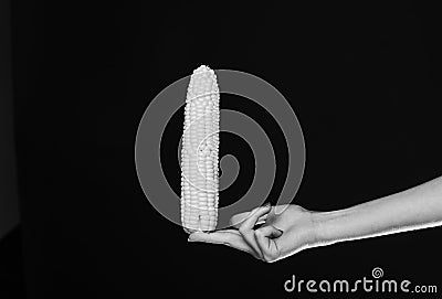 Corn cob in yellow color in girls fingers. Female hand holds corn isolated on black background Stock Photo