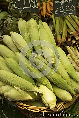 Corn cobs in basket Stock Photo