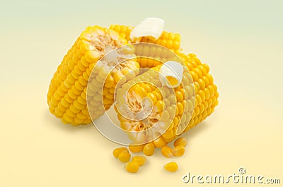 Corn combs on yellow background. Steamed Sweetcorn with butter closeup, ready to eat. Hot corn on the cob Stock Photo