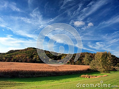 Corn crop in Minnesota Stock Photo