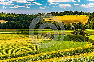 Corn fields and rolling hills in rural York County, Pennsylvania Stock Photo