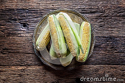 Corn. Fresh corn on old rustic oak table Stock Photo