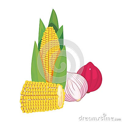 corn garlic onion fresh food Cartoon Illustration