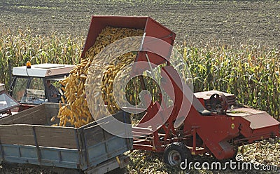 Corn Harvester Stock Photo