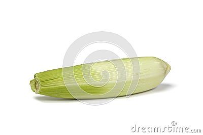 Corn Husk Stock Photo