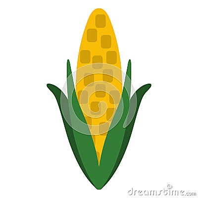 Corn and Husk Vector Illustration