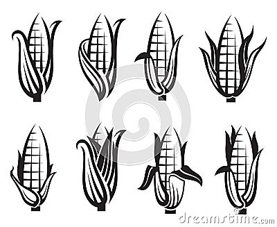 Corn images set Vector Illustration