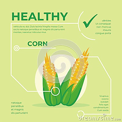 Corn infographic vector Design, fresh vegetable Cartoon Illustration