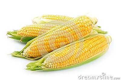 Corn isolated Stock Photo