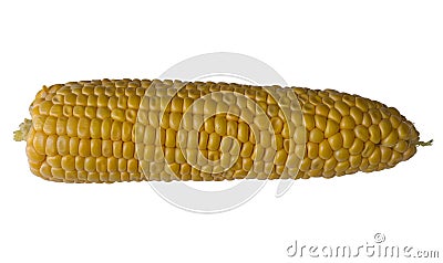 Corn isolated Stock Photo