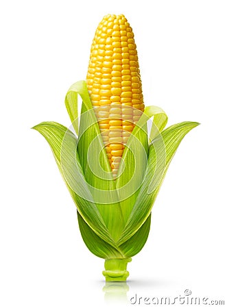 Corn isolated Stock Photo