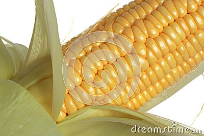 Corn Stock Photo