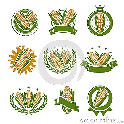 Corn label and element set. Collection icon corn. Vector Vector Illustration