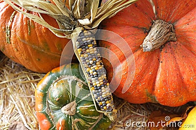 Corn Maize Pumpkin Harvest Green Grocer Stall Stock Photo