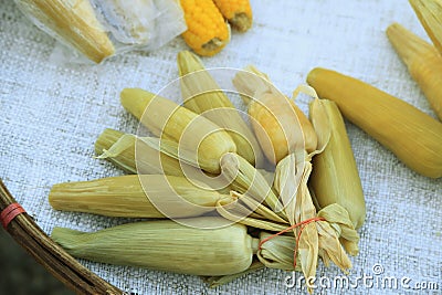 Corn or Maize sale in asian fresh food local market Stock Photo