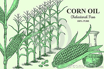 Corn oil cholesterol free 100 percent pure sketchy vector illustration Cartoon Illustration