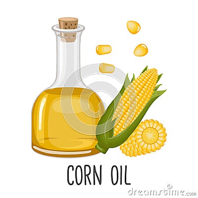 Corn oil, sweet corn seeds and cobs. Corn seed oil in a bottle. Food. Illustration Vector Illustration