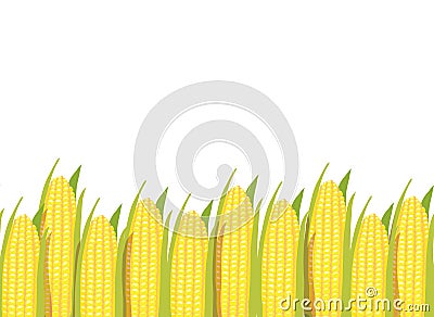 Corn plants horizontal seamless pattern background border Vector Illustration