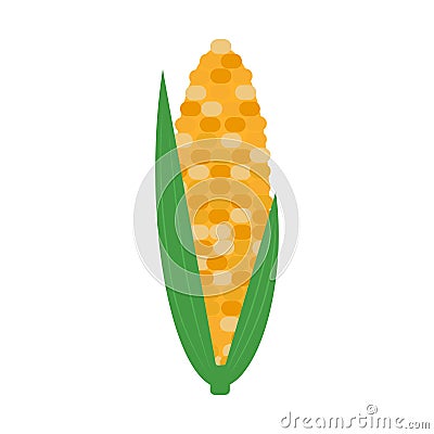 corn ripe vector illustration flat style Vector Illustration