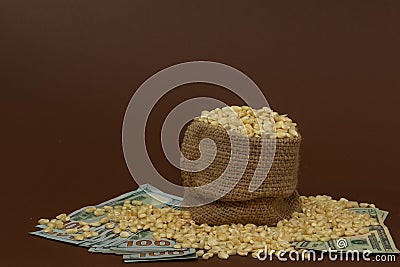 Corn sack and one hundred and twenty USD bills covered with corn grains Stock Photo