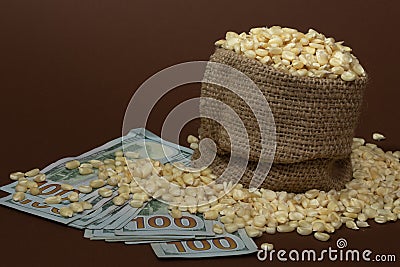 Corn sack and one hundred USD bills Stock Photo