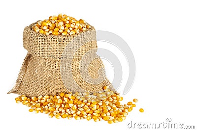 Corn in the sack Stock Photo