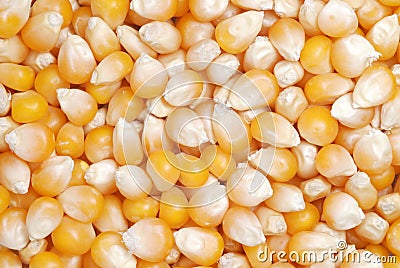 Corn seeds pattern Stock Photo