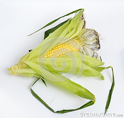 Corn smut is a plant disease caused by the pathogenic fungus Ustilago maydis. On white background Stock Photo