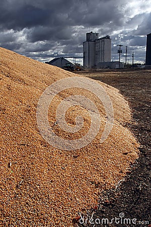 Corn Surplus and Elevator Stock Photo