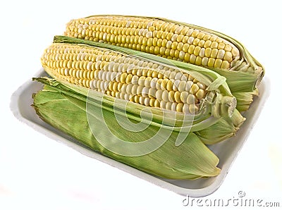 Corn in the Tray Stock Photo