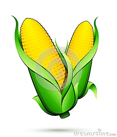 Corn vegetable Cartoon Illustration