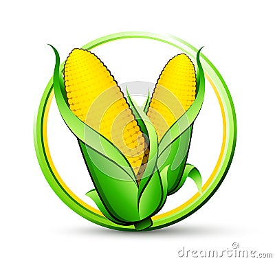 Corn vegetable Vector Illustration