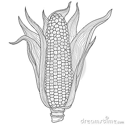 Corn. Vegetable.Coloring book antistress for children and adults.Zen-tangle style Stock Photo