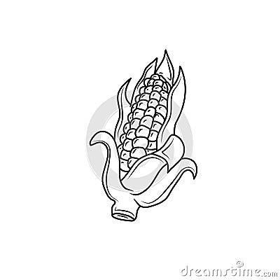 Corn vegetable illustration vector black outline drawing Vector Illustration