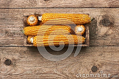 Corn in wooden box on old shabby grungy rustic wooden background, flat lay, top view Stock Photo