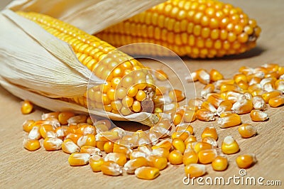 Corncob detail Stock Photo