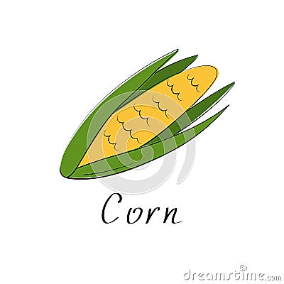 Corncob vector illustration. Corn sign in cartoon style. Logo isolated on white background Vector Illustration