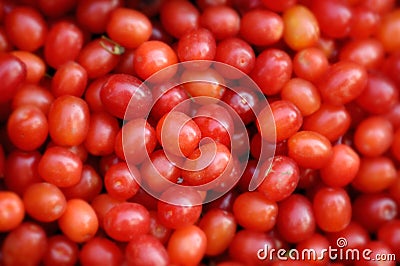 Cornelian Cherry - European Cornel Stock Photo