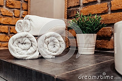 Corner of the bathroom on a gray surface white towels are stacked in rolls loft style brick walls green potted grass Stock Photo