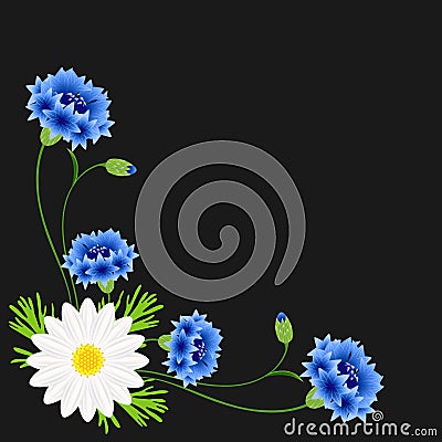 Corner with blue cornflowers and chamomile on a black background. Vector Illustration